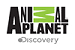 Logo de Animal Planet en vivo